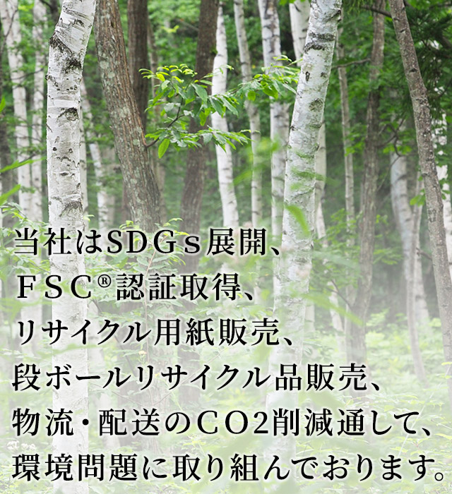 当社もSDＧｓ展開、ＦＳＣ認証取得、リサイクル用紙販売、段ボールリサイクル品販売、物流・配送のＣＯ2削減通して、環境問題に取り組んでおります